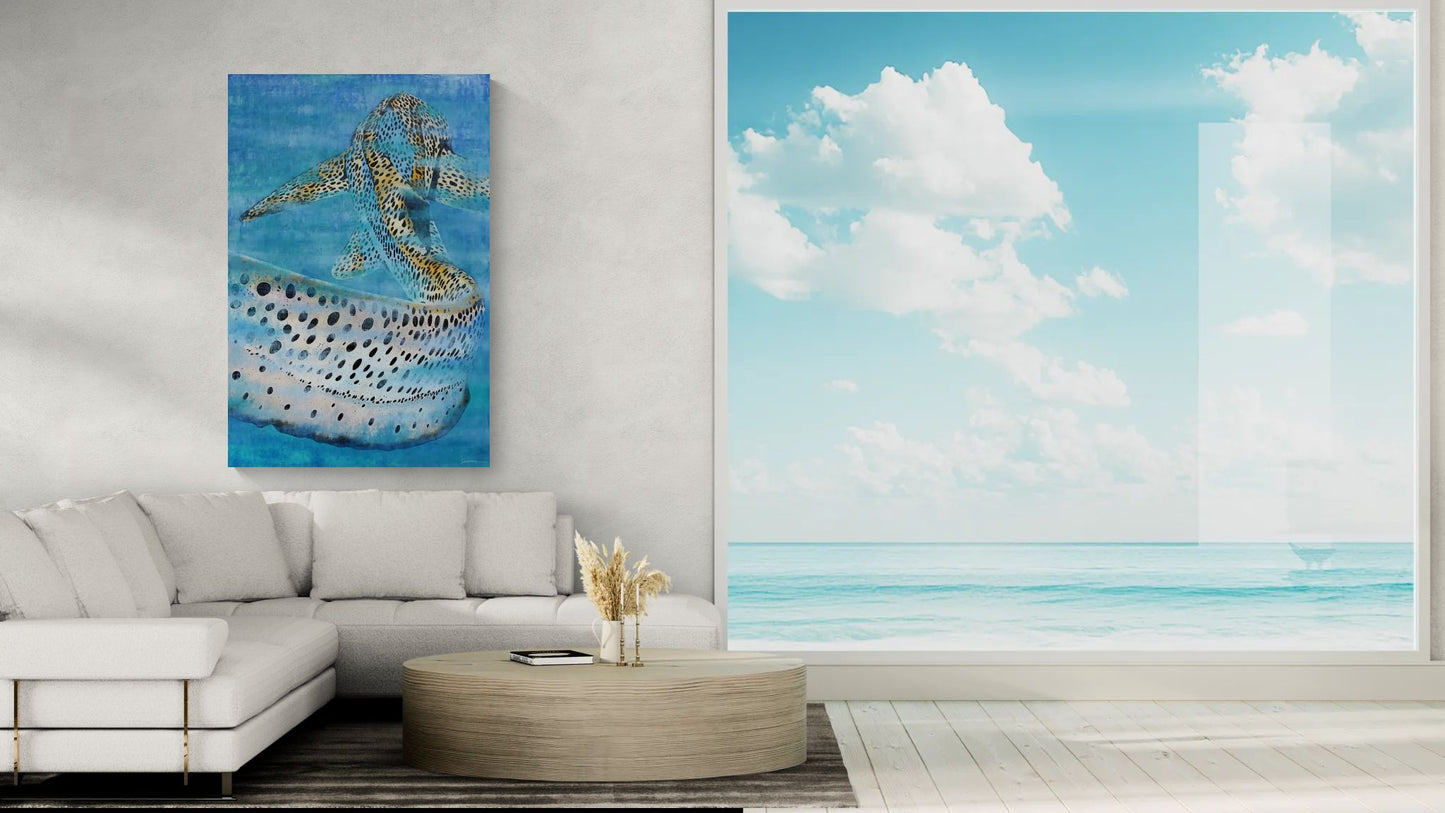 Vitamin SEA, Zebra Shark, Number 1, Original