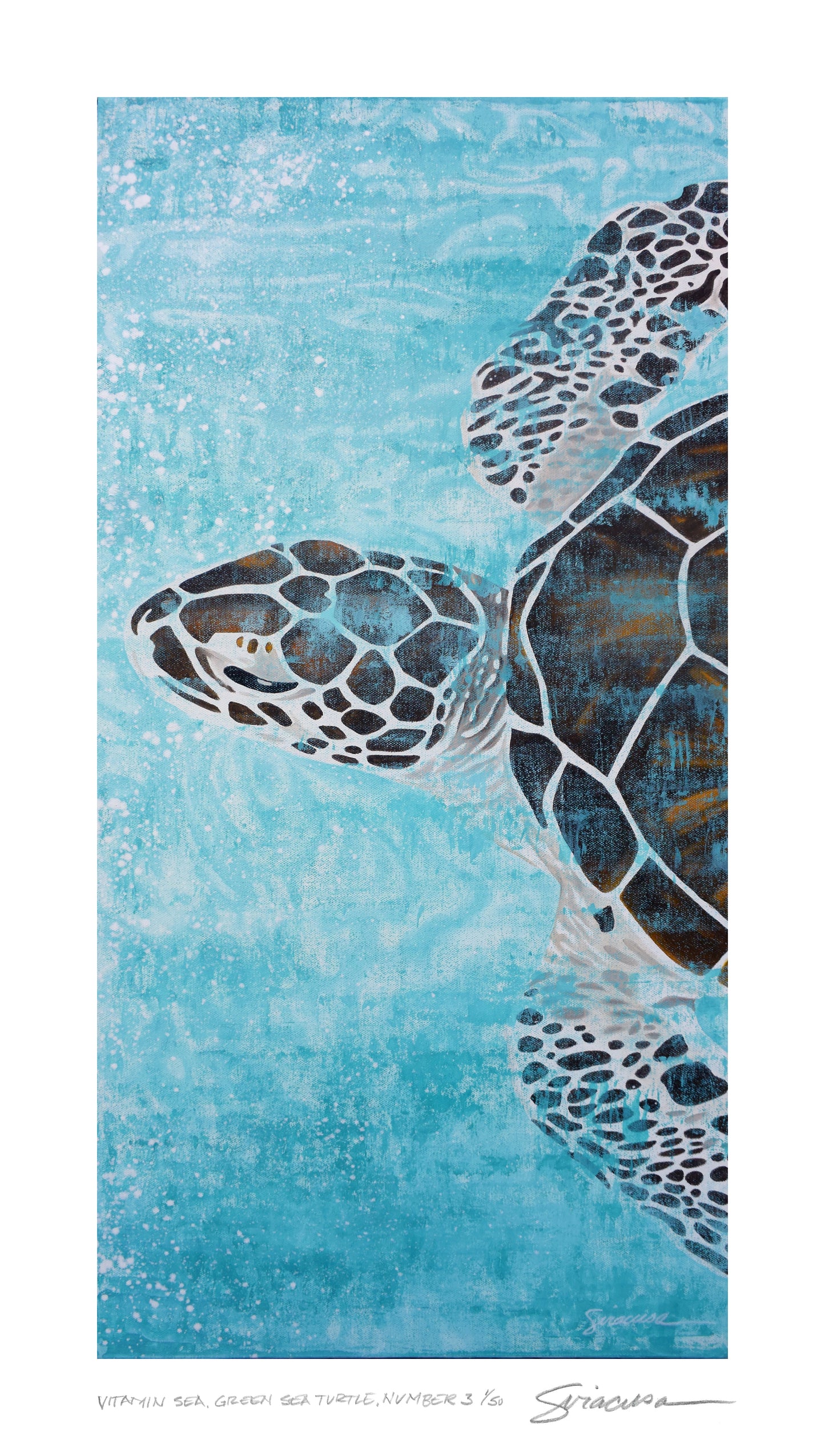 Vitamin SEA, Green Sea Turtle, Number 3, Limited Edition Print, 8.5" x 15"