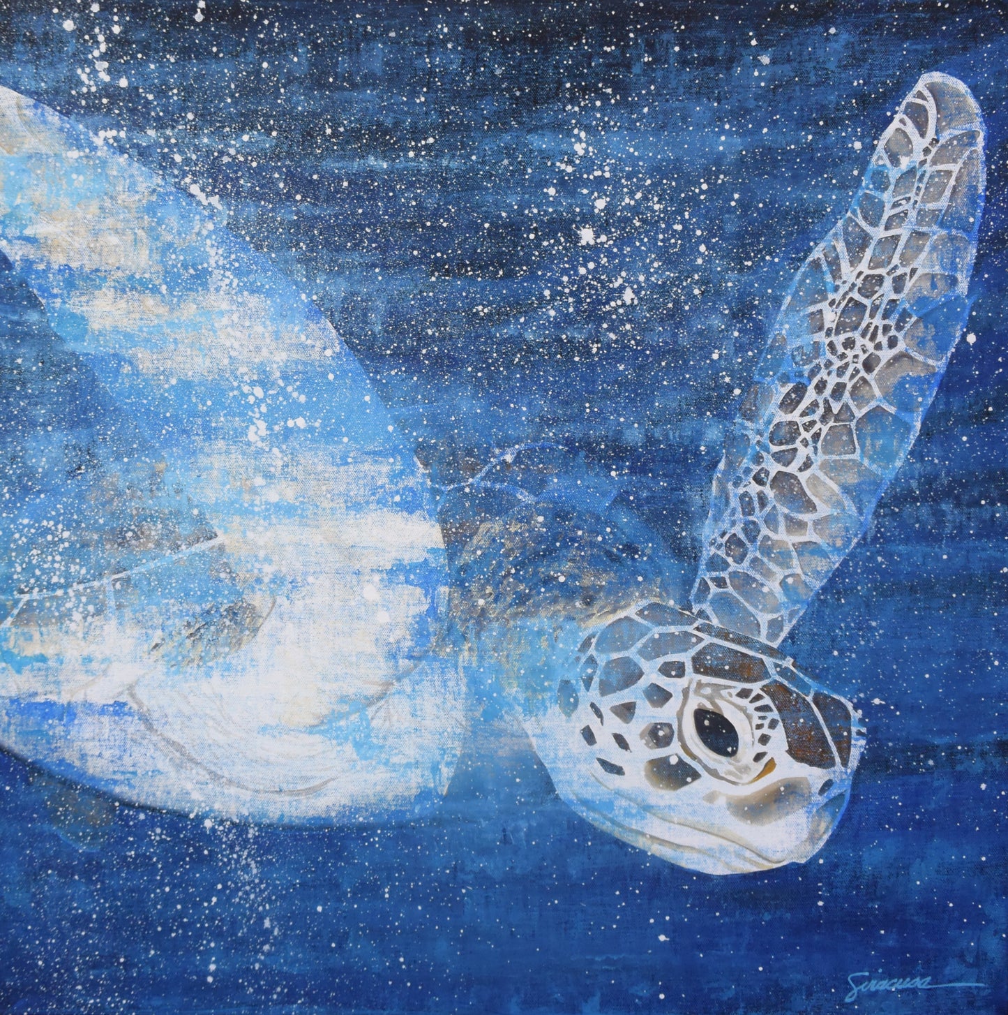 Vitamin SEA, Green Sea Turtle, Number 6, Original