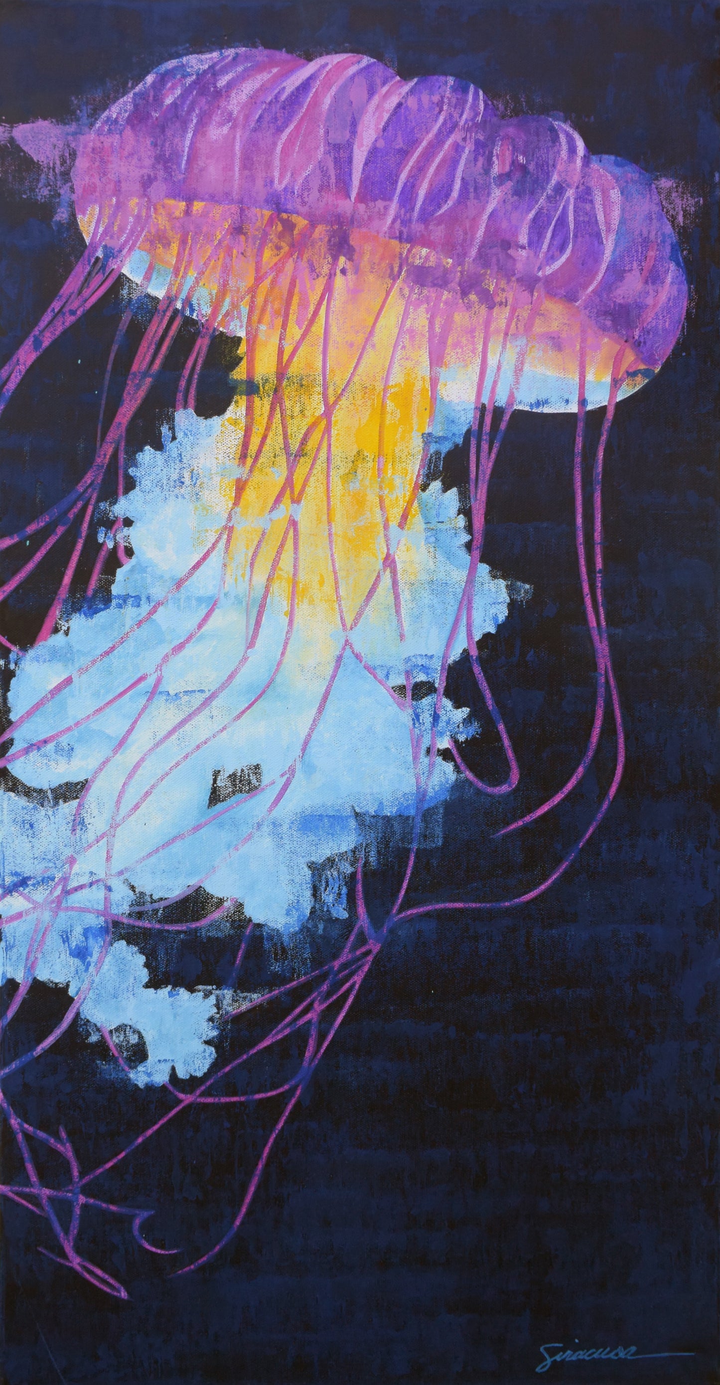 Vitamin SEA, Jellyfish, Number 6, Original