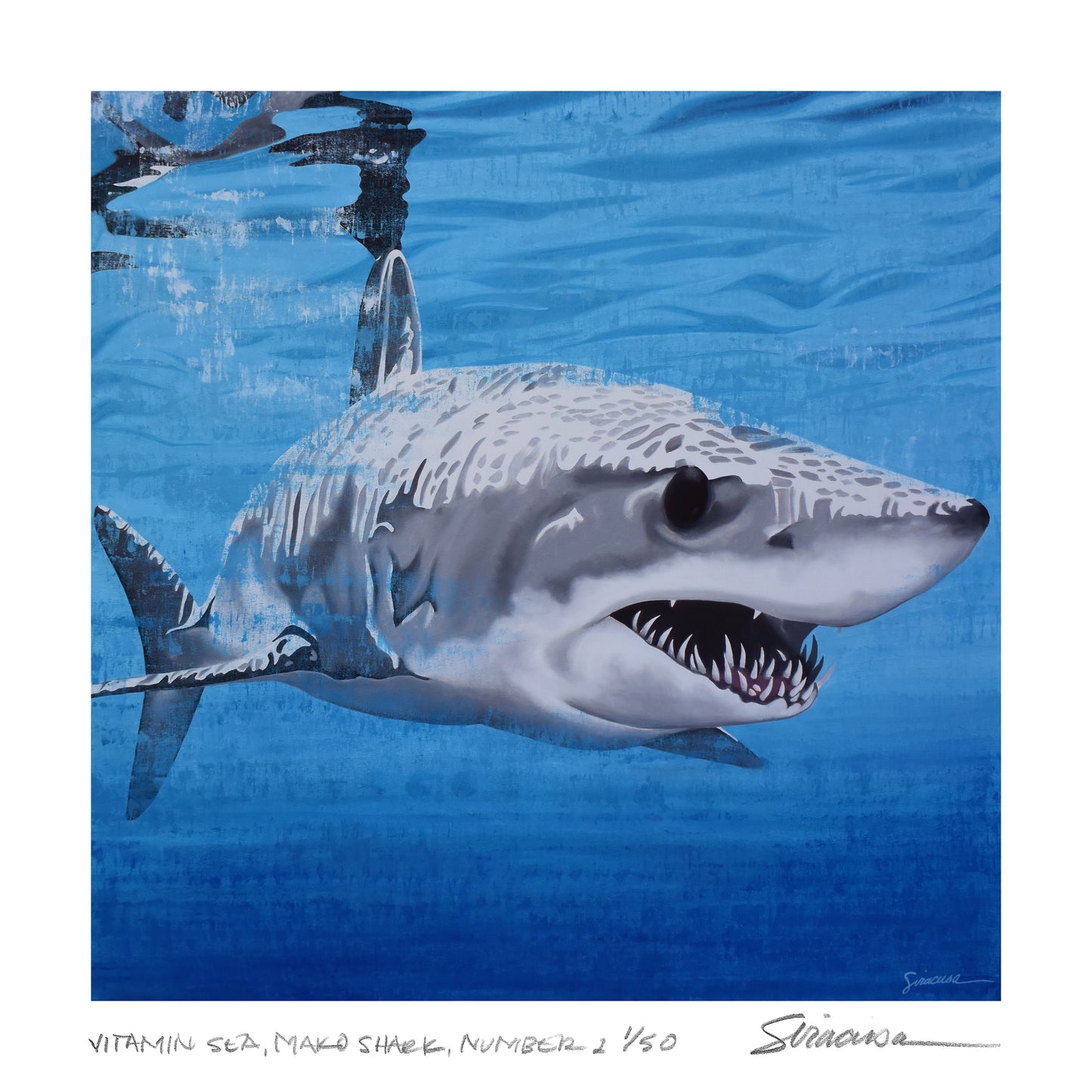 Vitamin SEA, Mako Shark, Number 1, Limited Edition Prints