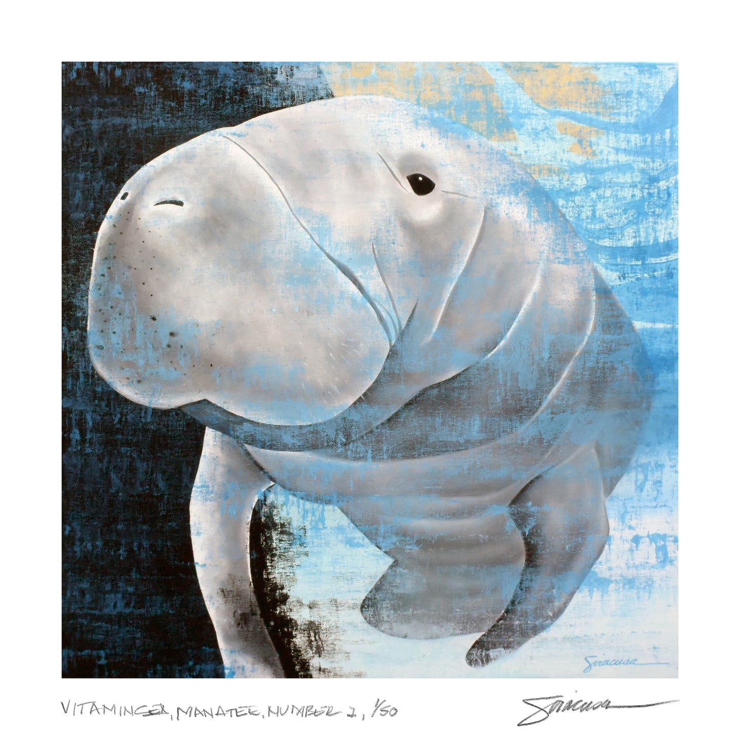 Vitamin SEA, Manatee, Number 1, Limited Edition Print, 12" x 12"