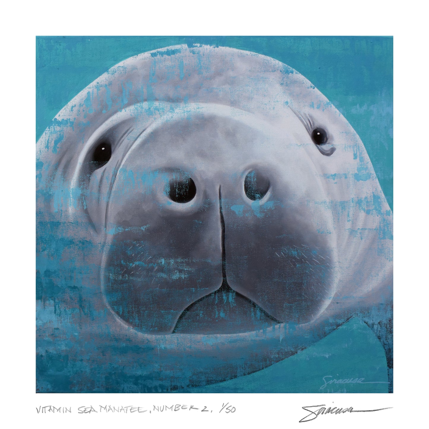Vitamin SEA, Manatee, Number 2, Limited Edition Print, 12" x 12"