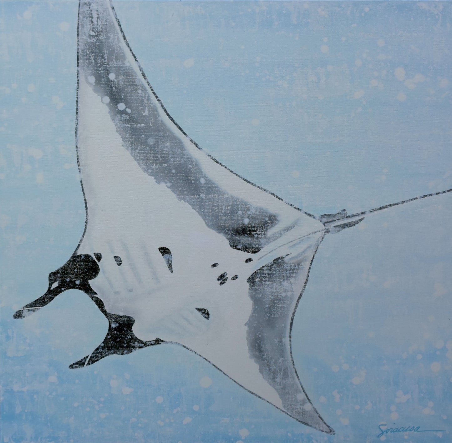 Vitamin SEA, Manta Ray, Number 2, Original