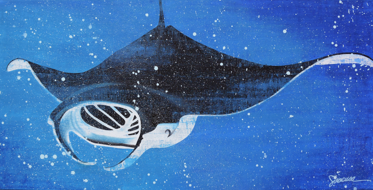 Vitamin SEA, Manta Ray, Number 1, Original