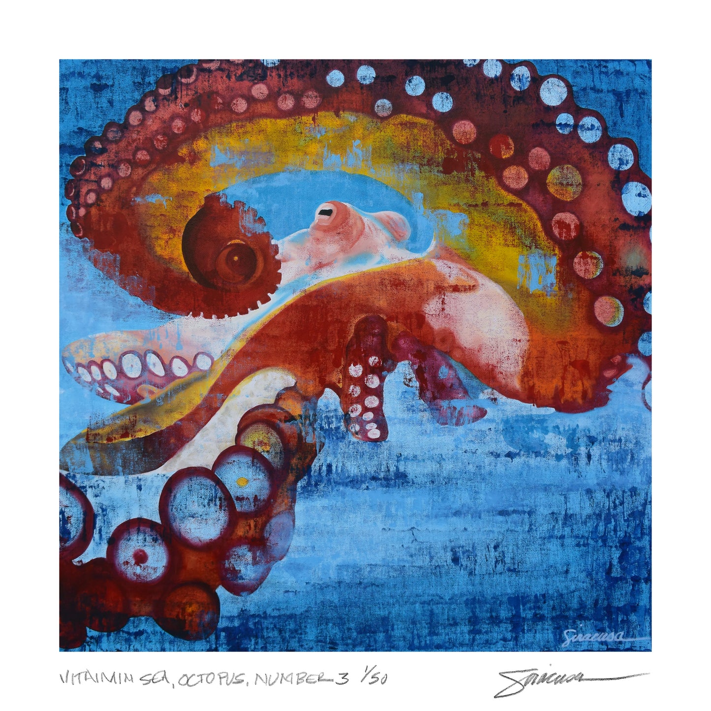 Vitamin SEA, Octopus, Number 3, Limited Edition Print, 12" x 12"