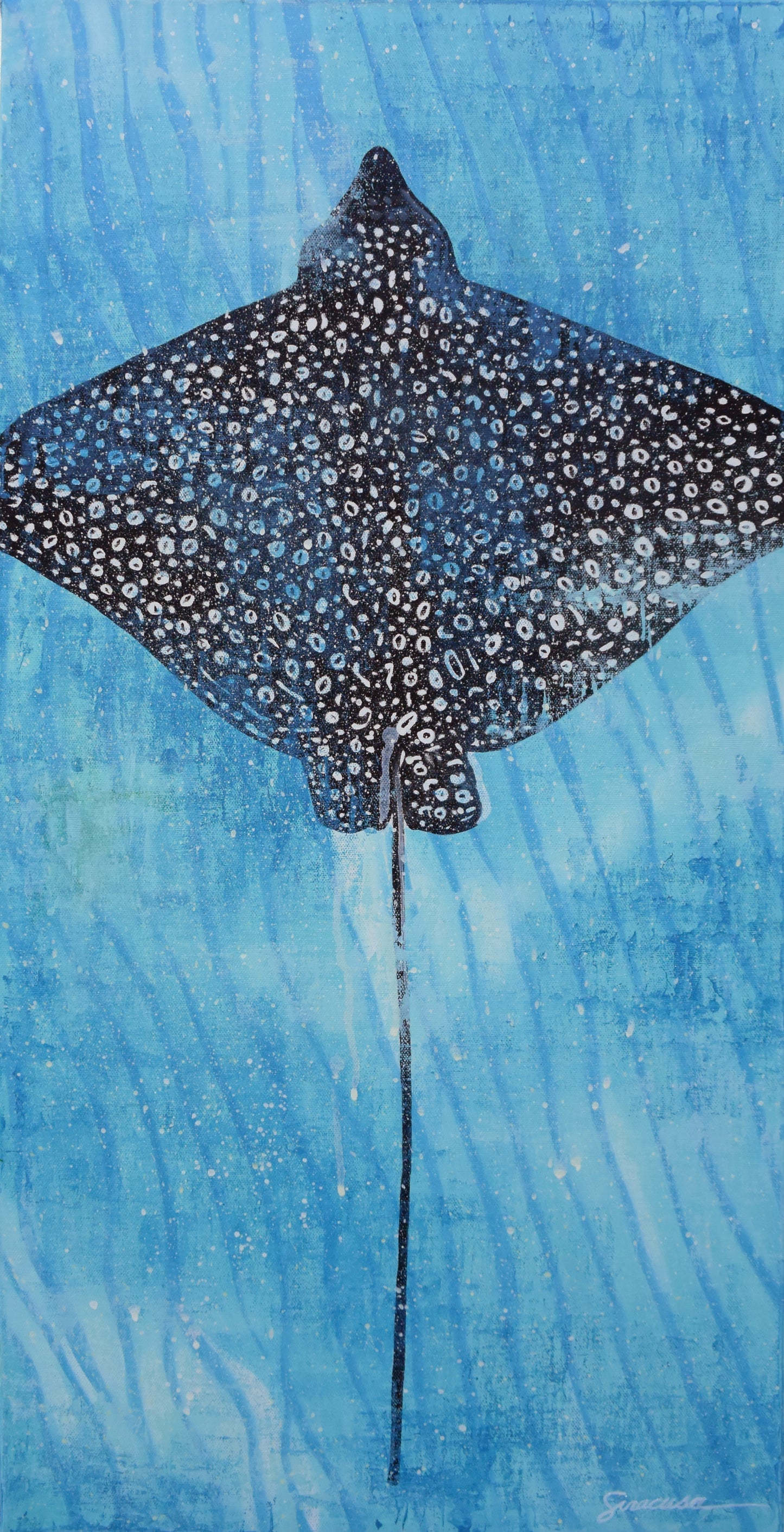 Vitamin SEA, Spotted Eagle Ray, Number 2, Original