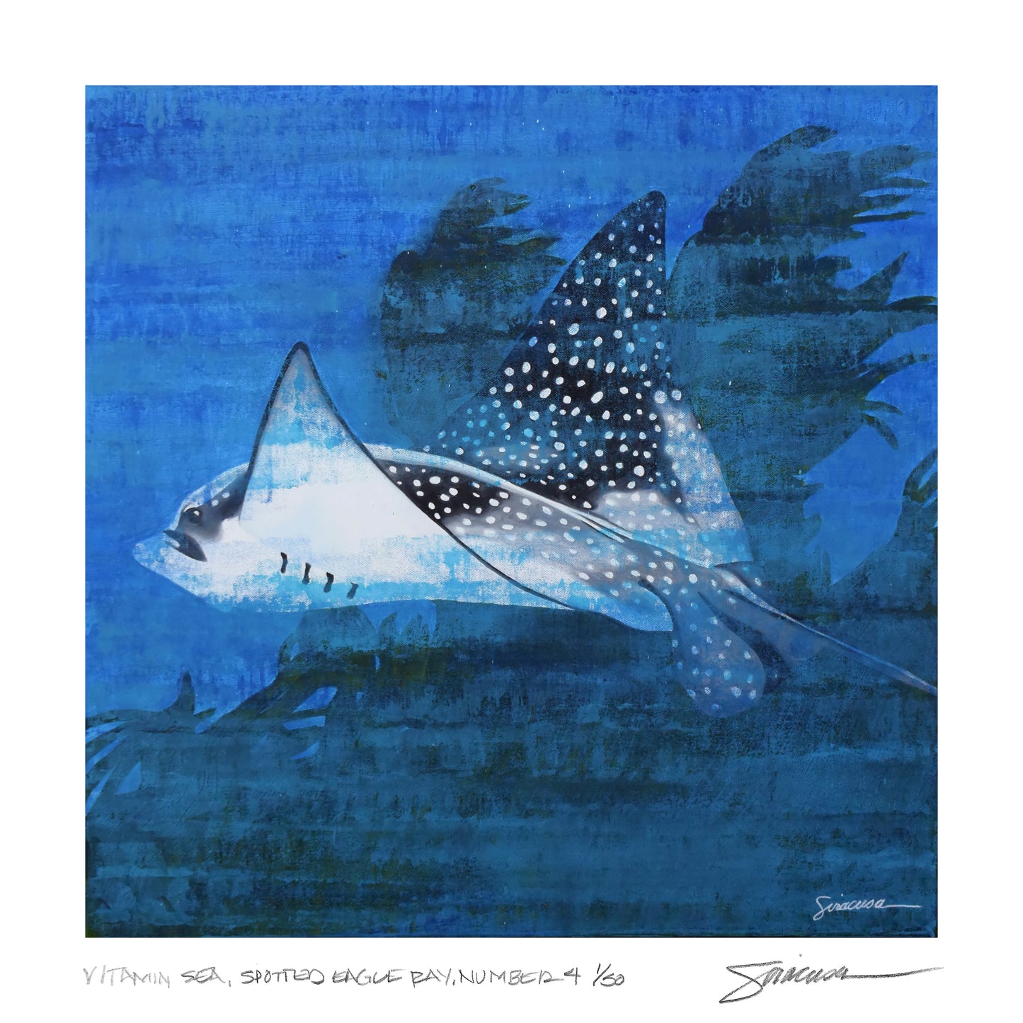 Vitamin SEA, Spotted Eagle Ray, Number 4, Limited Edition Print