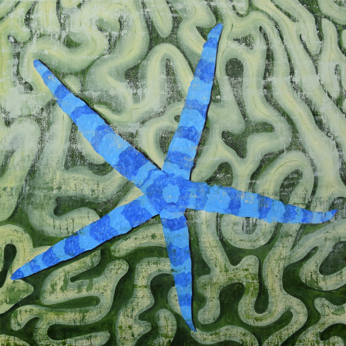 Vitamin SEA, Starfish and Brain Coral, Number 1