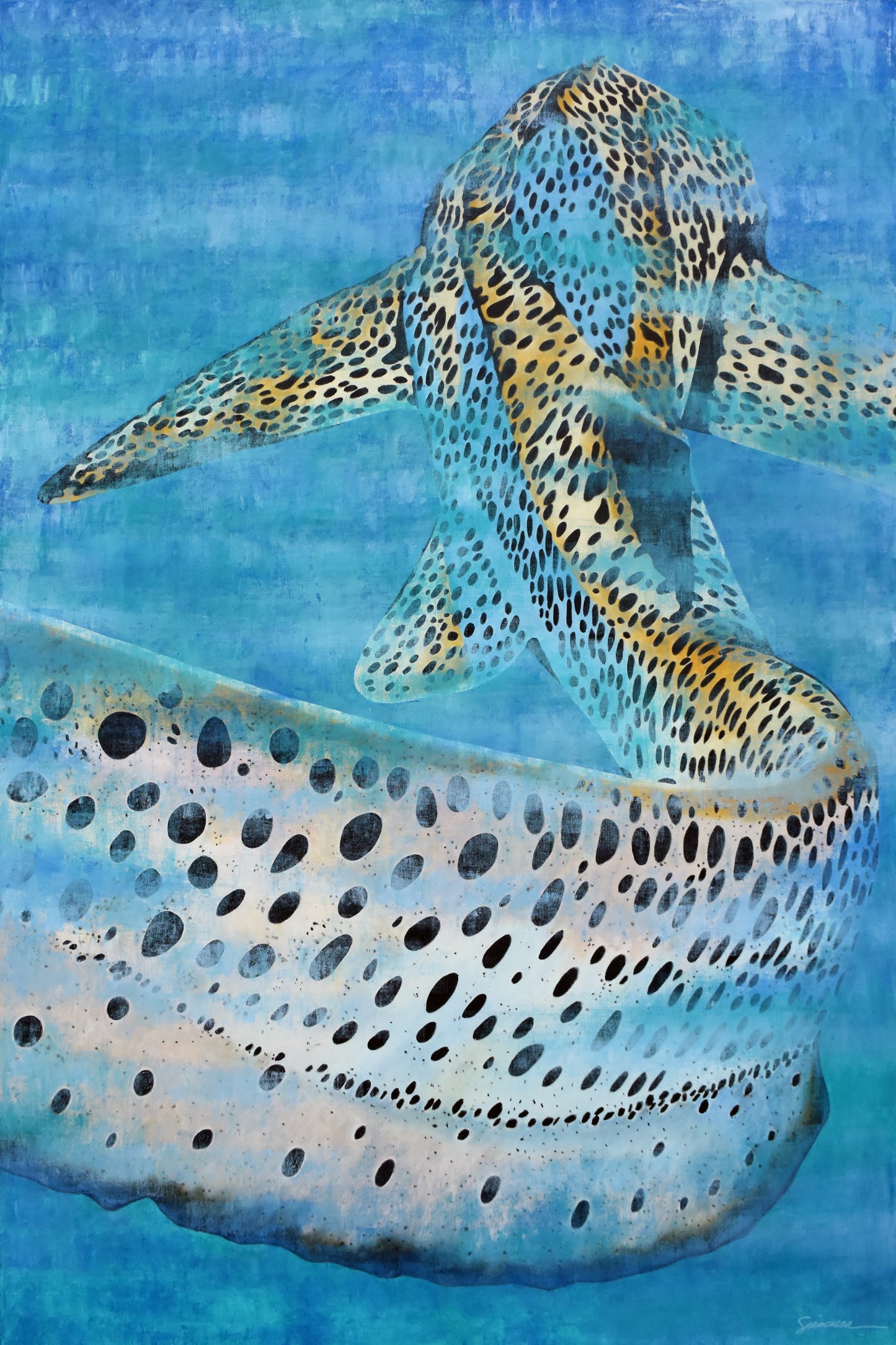 Vitamin SEA, Zebra Shark, Number 1, Original