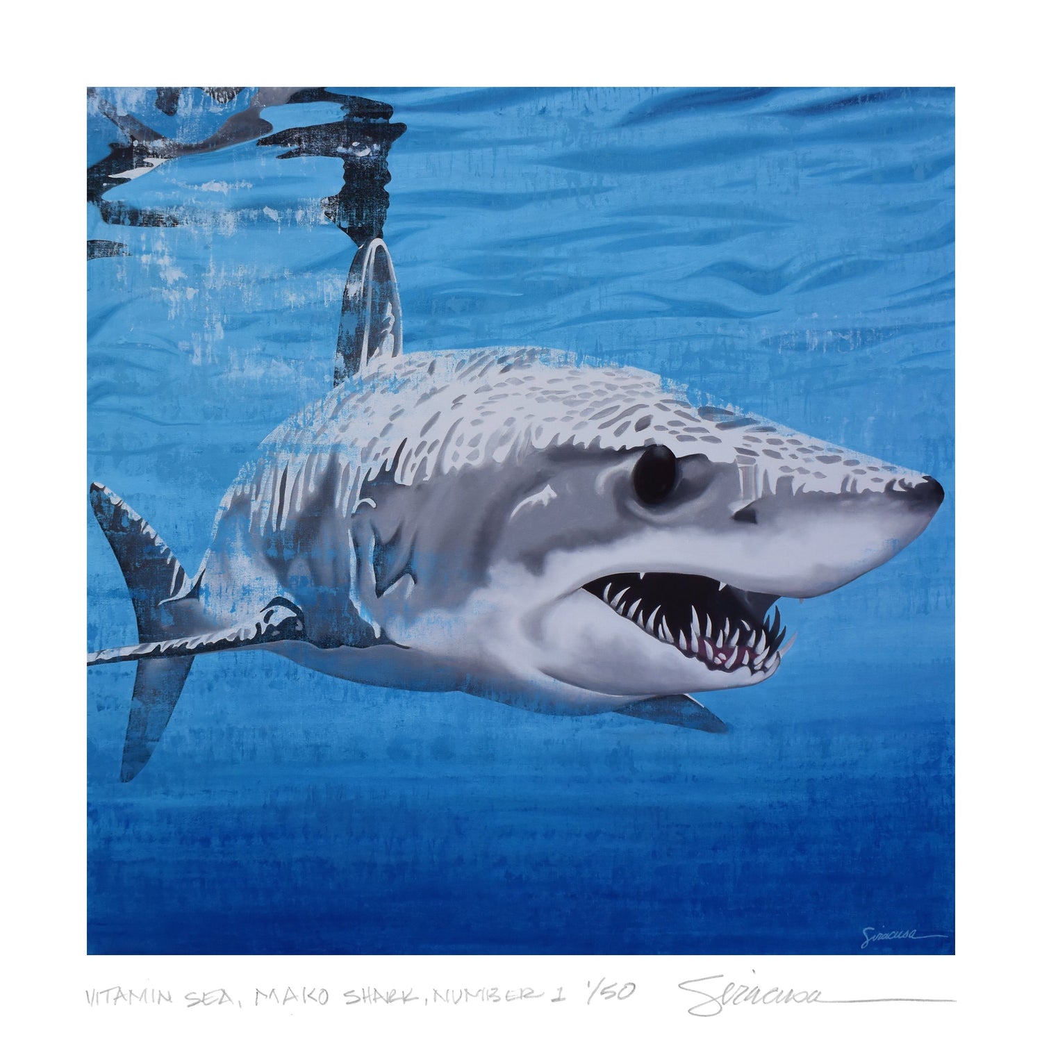 Limited Edition Prints