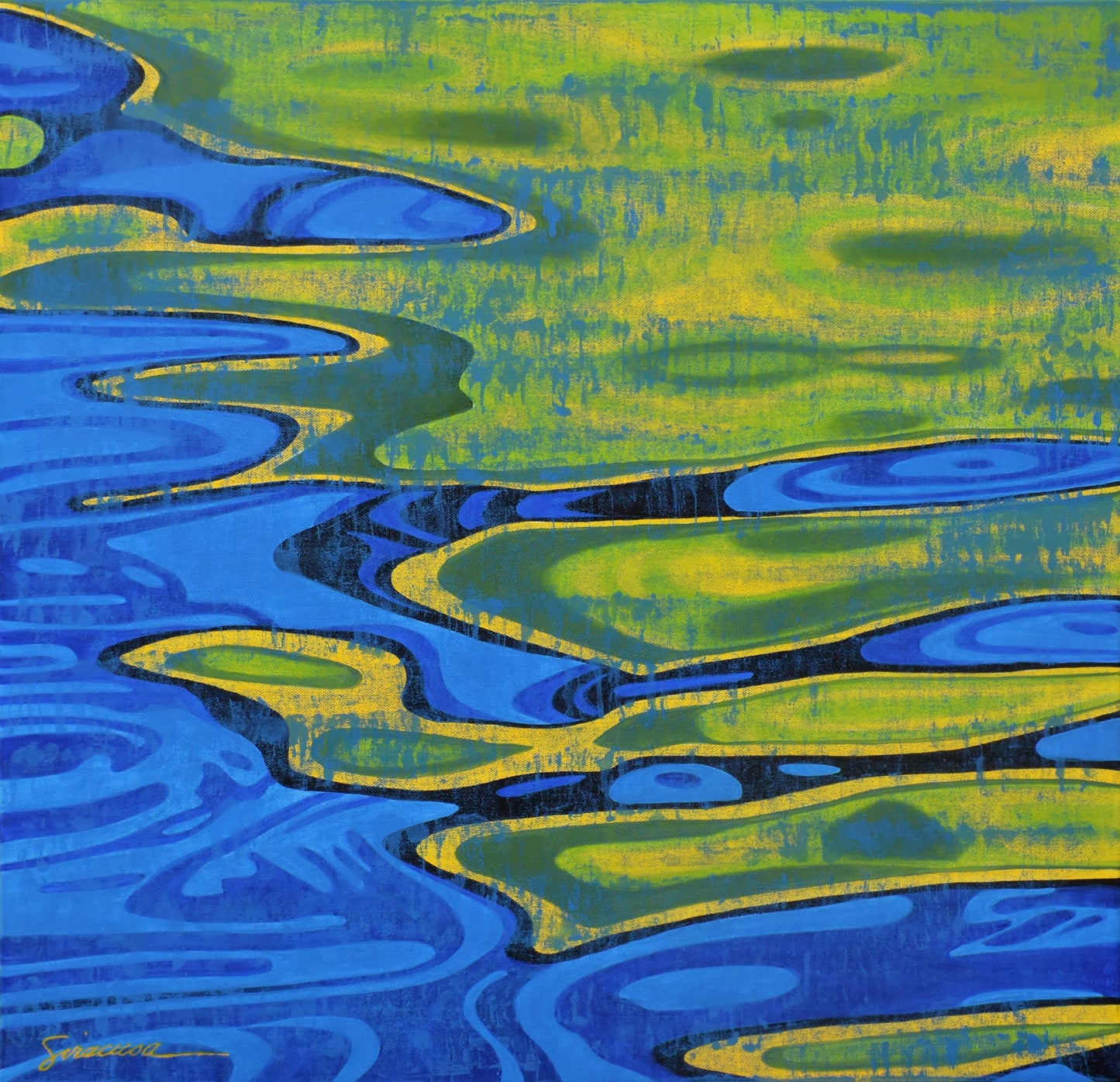 Ocean Alive, Contrasto, Number 2