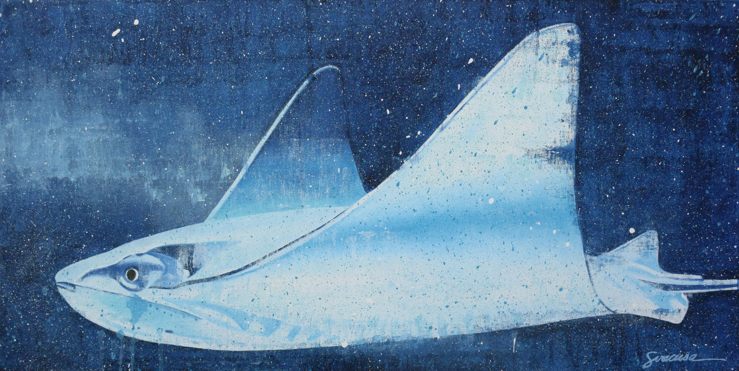 Vitamin SEA, Eagle Ray, Number 1, Original