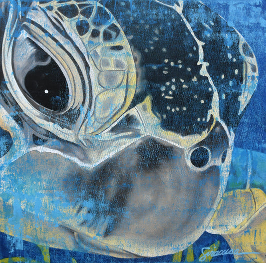 Vitamin SEA, Green Sea Turtle, Number 1, Original