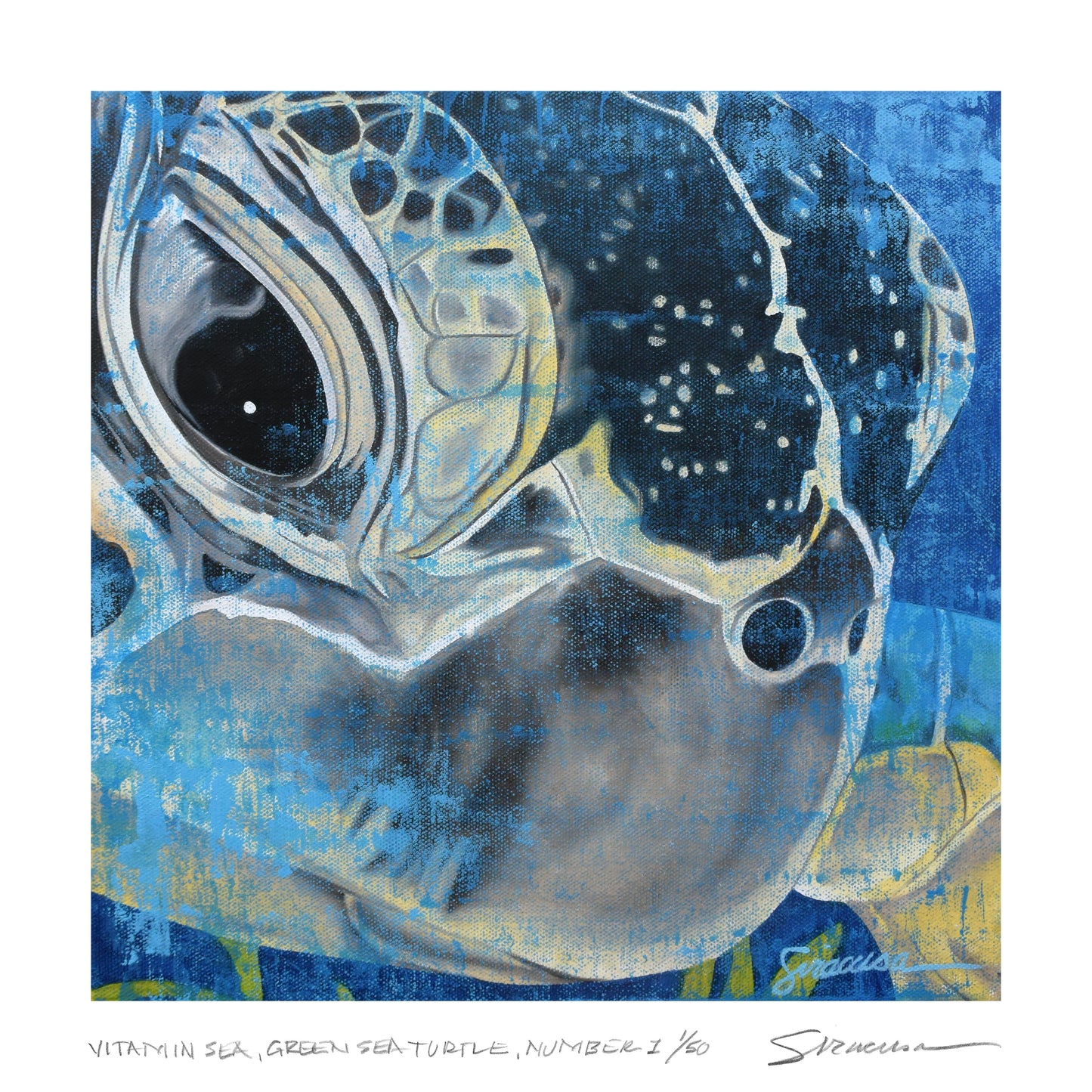 Vitamin SEA, Green Sea Turtle, Number 1, Limited Edition Print
