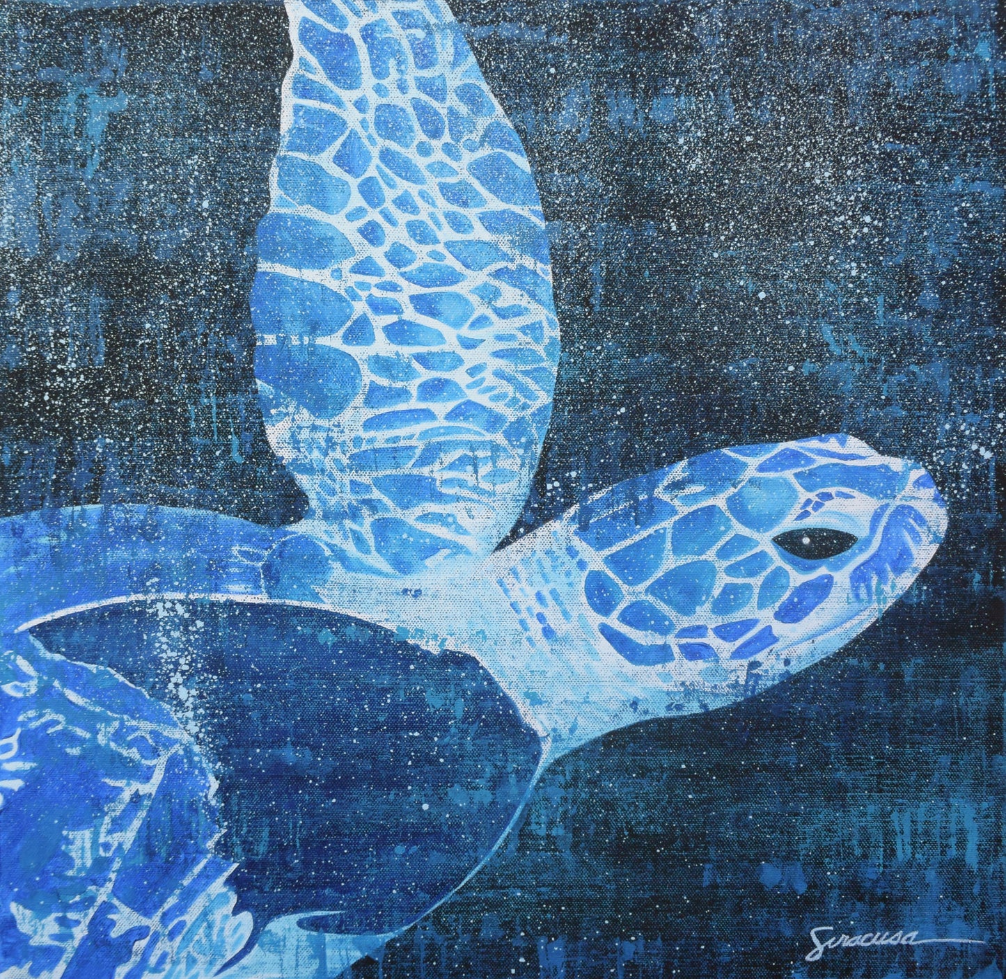 Vitamin SEA, Green Sea Turtle, Number 2, Original