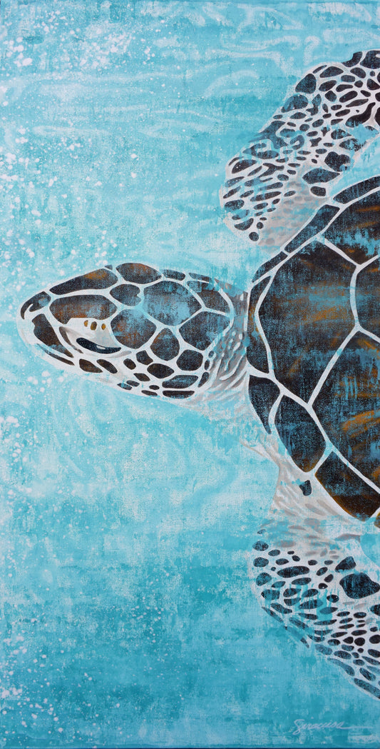 Vitamin SEA, Green Sea Turtle, Number 3, Original