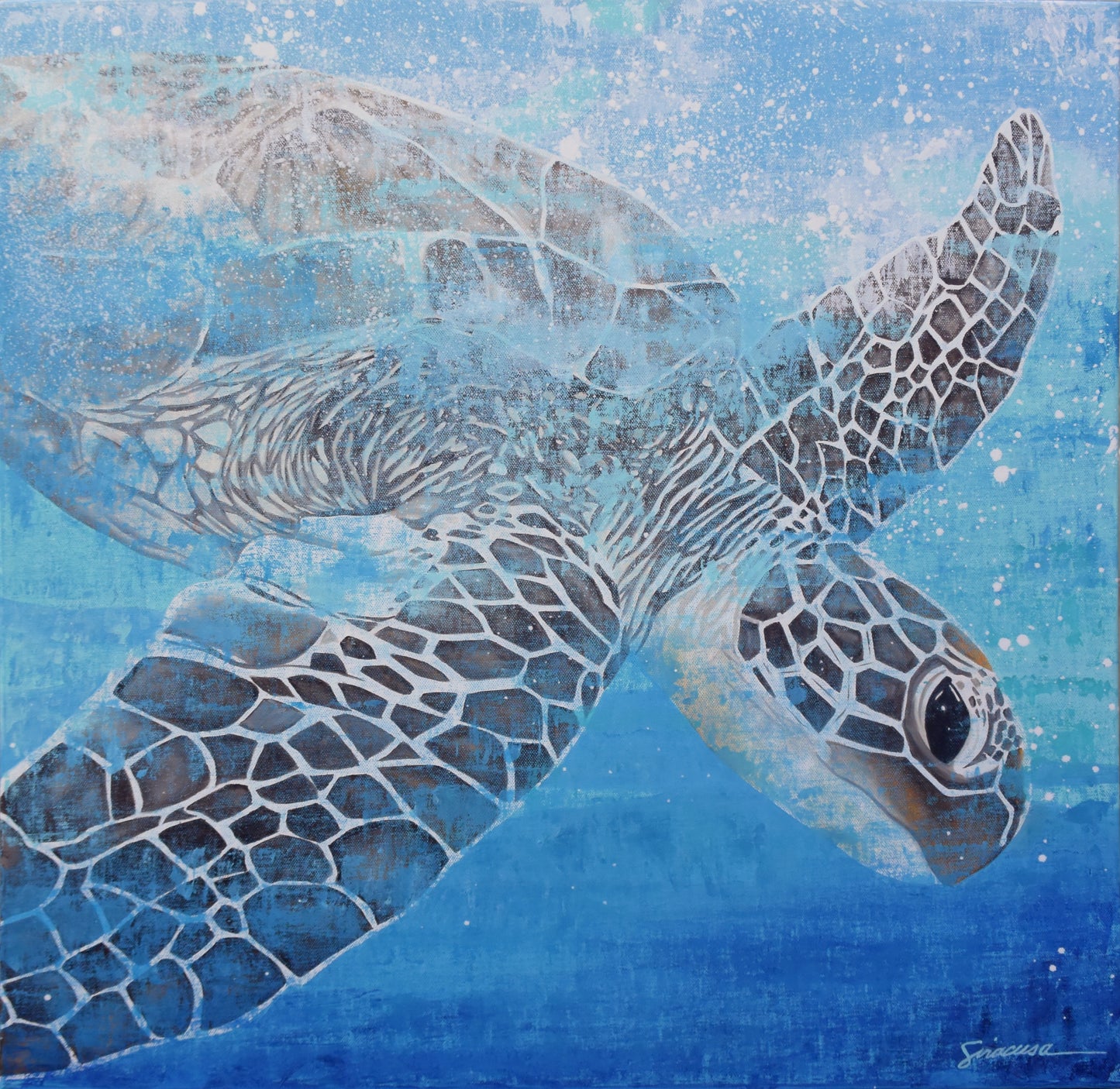 Vitamin SEA, Green Sea Turtle, Number 4, Original