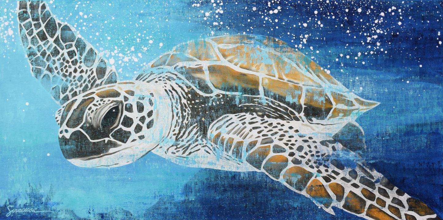 Vitamin SEA, Green Sea Turtle, Number 5, Original