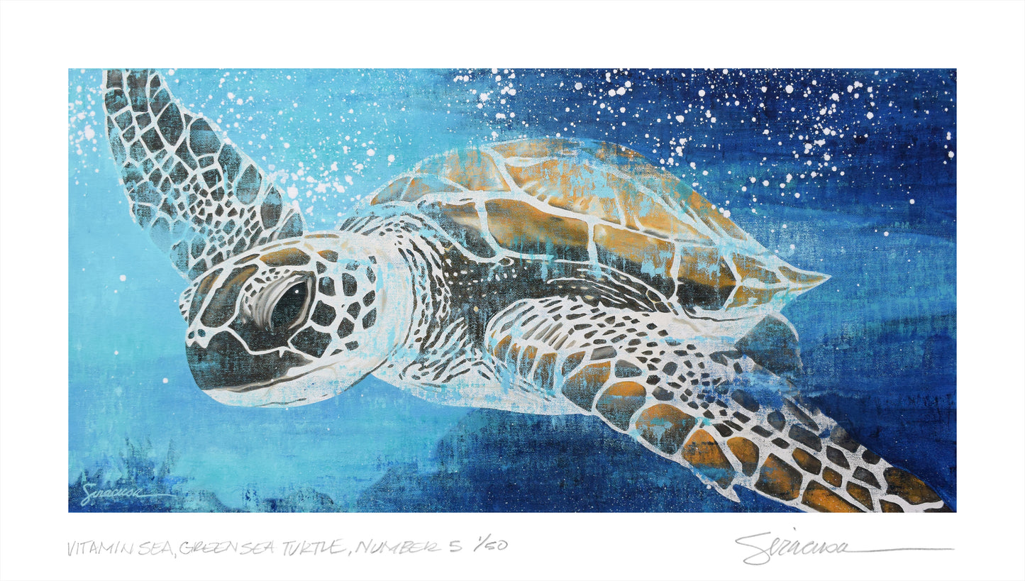 Vitamin SEA, Green Sea Turtle, Number 5, Limited Edition Print, 15" x 8.5"