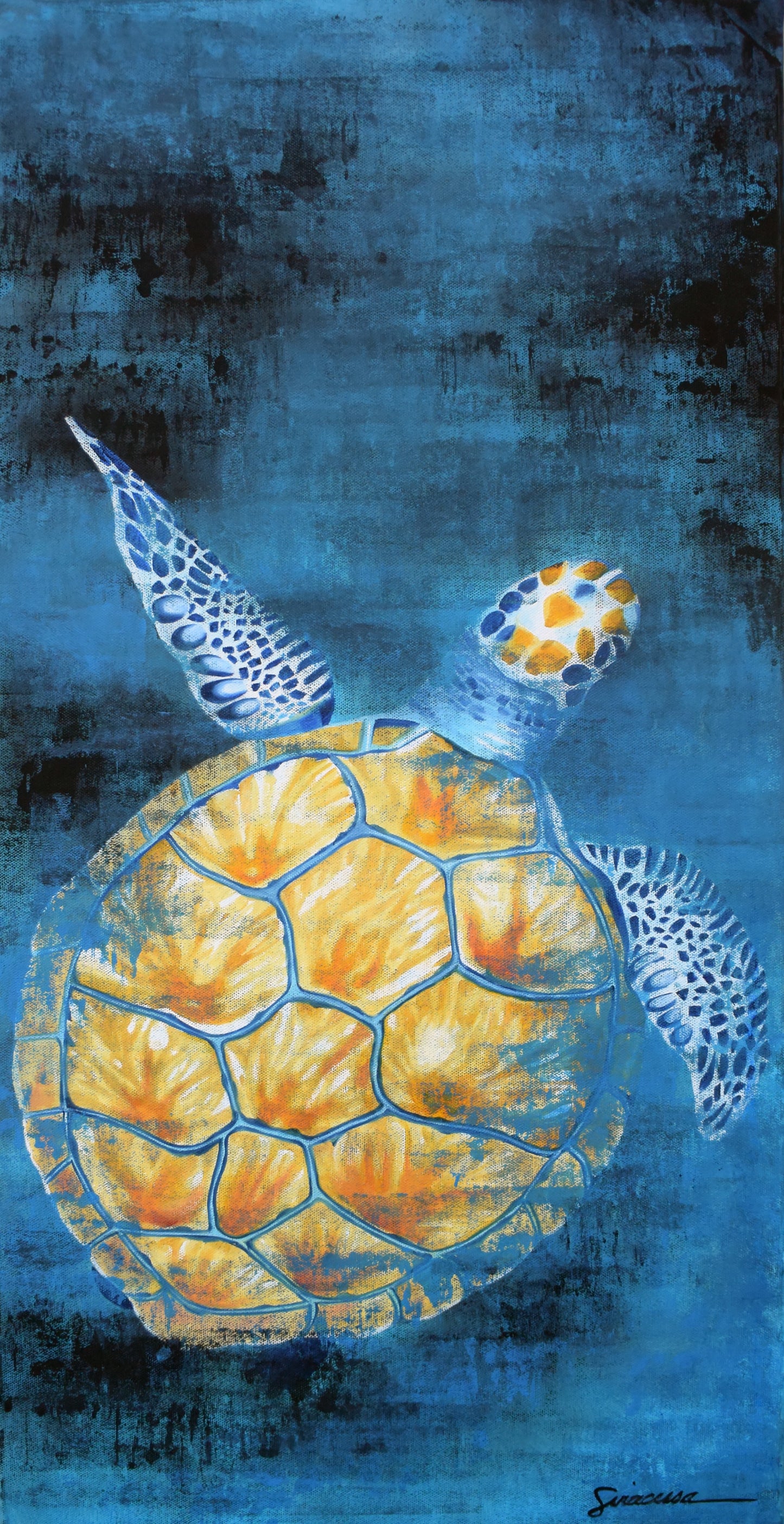 Vitamin SEA, Green Sea Turtle, Number 7, Original