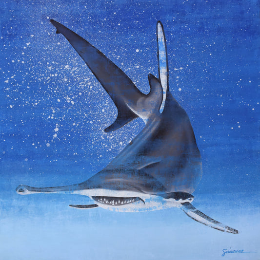Vitamin SEA, Hammerhead Shark, Number 1, Original