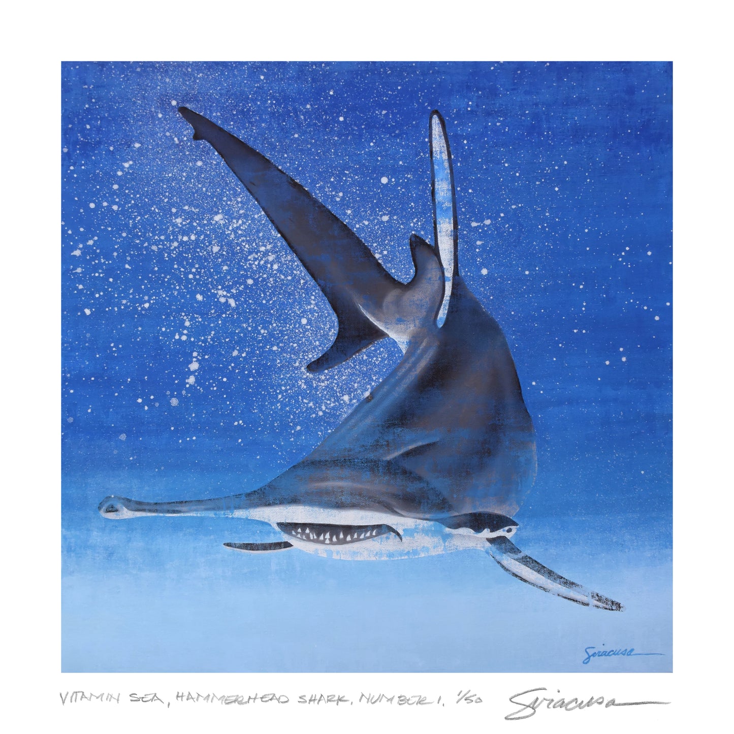 Vitamin SEA, Hammerhead Shark, Number 1, Limited Edition Print