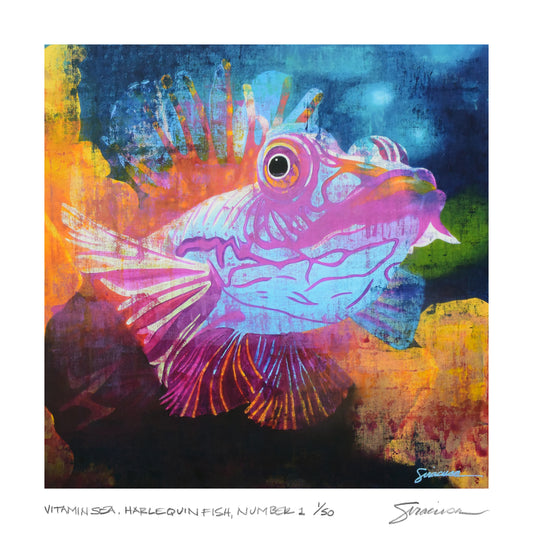 Vitamin SEA, Harlequin Fish, Number 1, Limited Edition Print