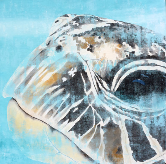 Vitamin SEA, Hawksbill Sea Turtle, Number 3, Original