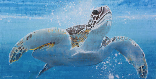 Vitamin SEA, Hawksbill Sea Turtle, Number 4, Original