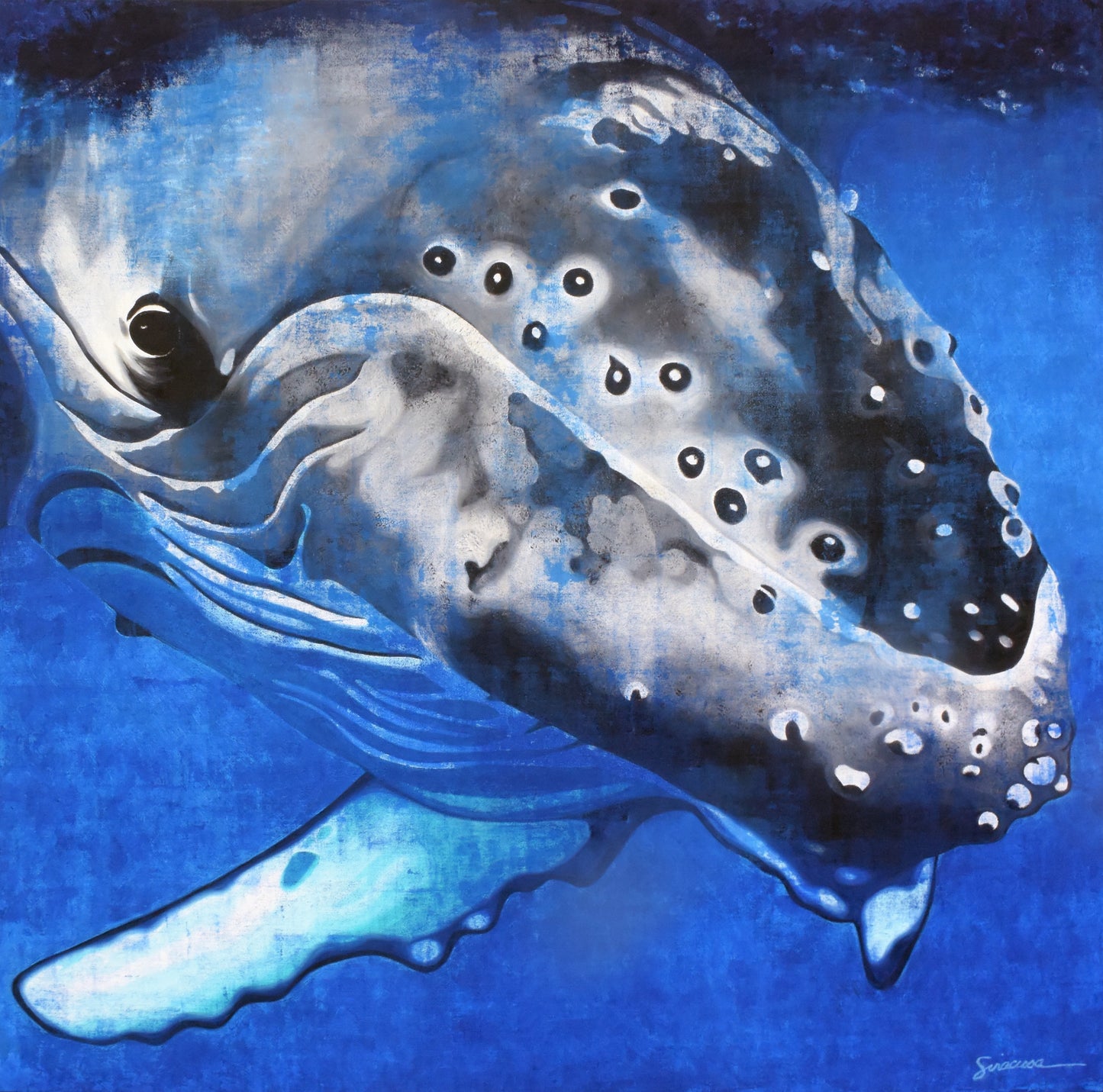 Vitamin SEA, Humpback Whale, Number 1, Original
