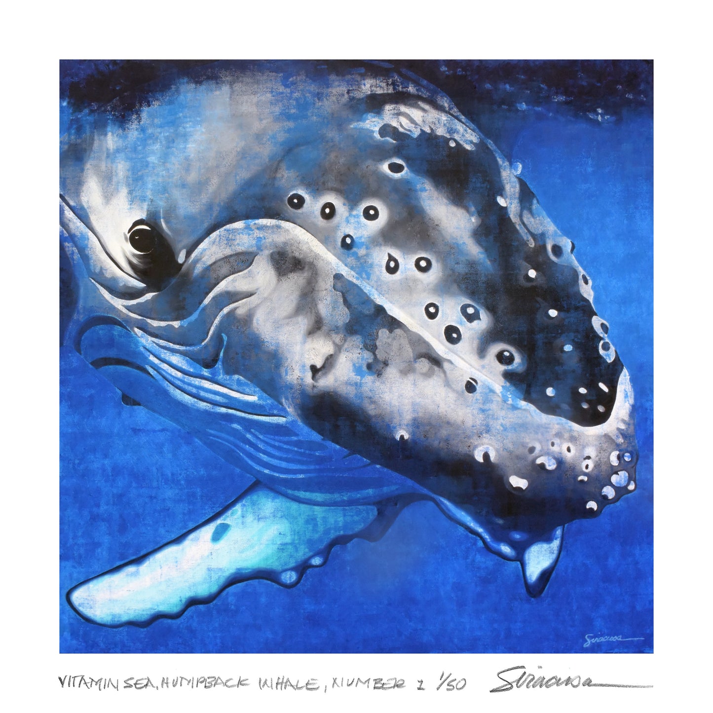 Vitamin SEA, Humpback Whale, Number 1, Limited Edition Print, 12" x 12"