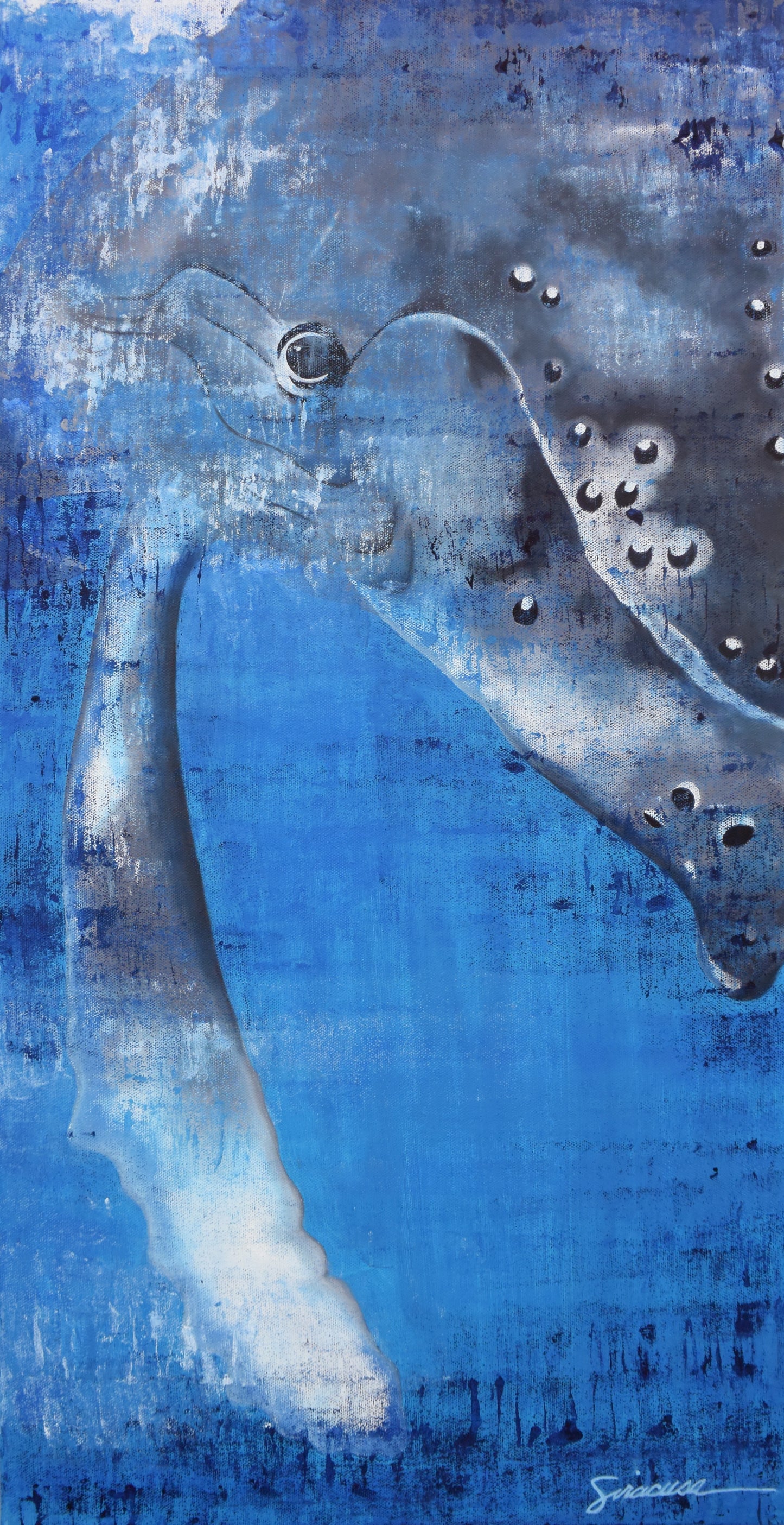 Vitamin SEA, Humpback Whale, Number 2, Original