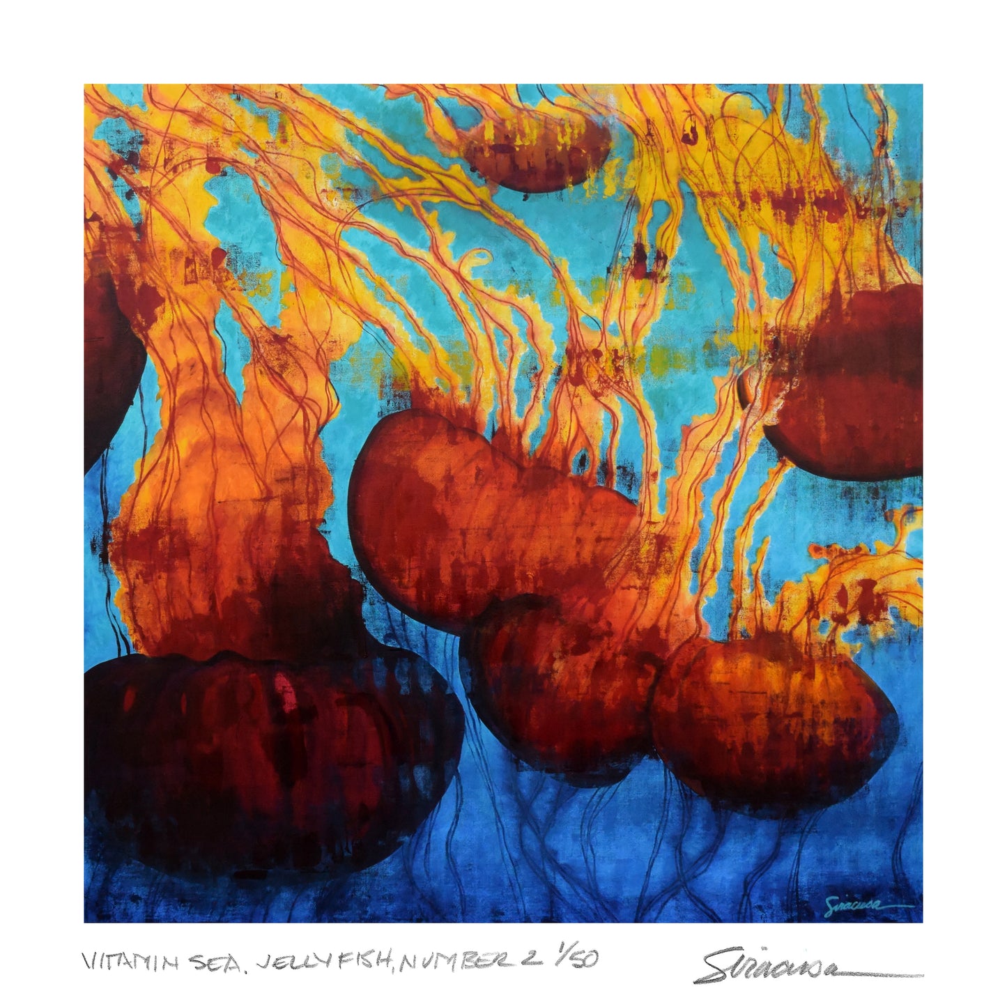 Vitamin SEA – Limited Edition Jellyfish Art Print, Signed & Numbered, 12” x 12”