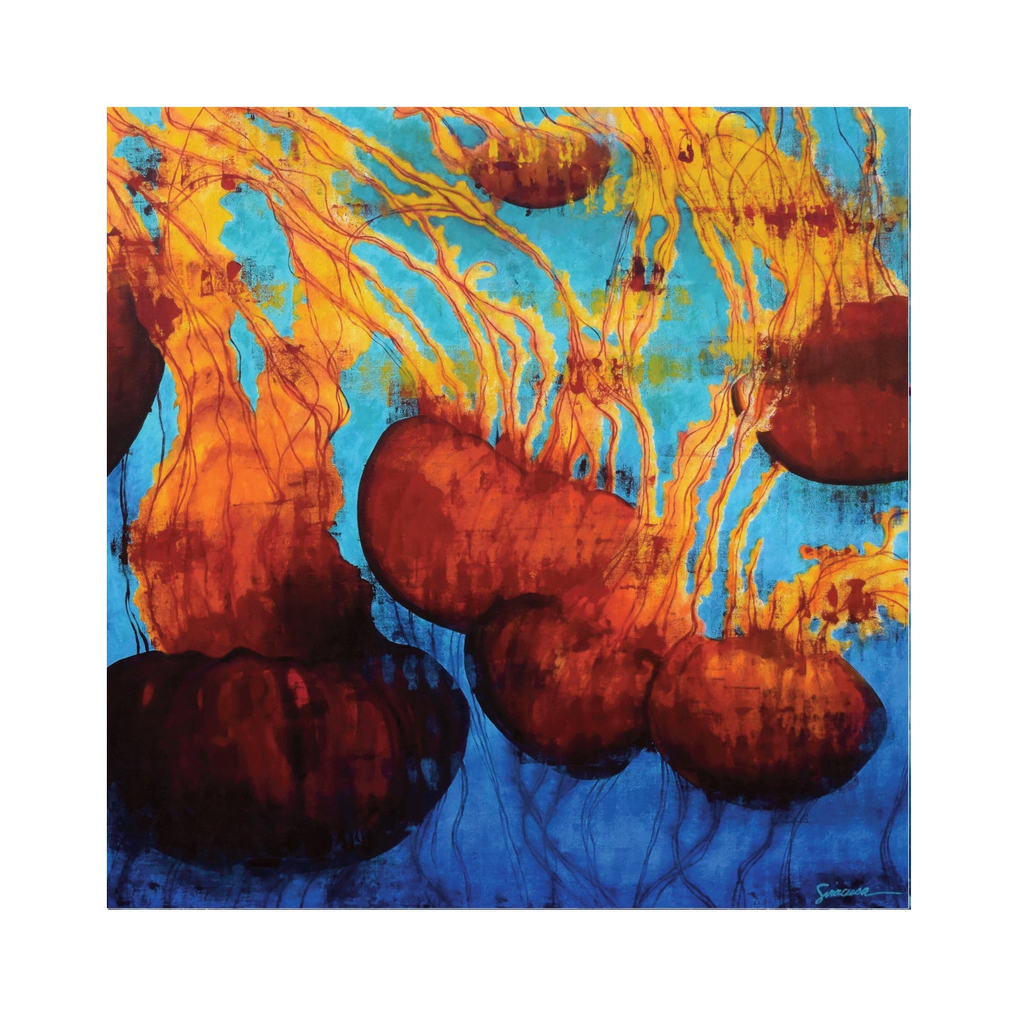 Vitamin SEA Greeting Cards, Group 2