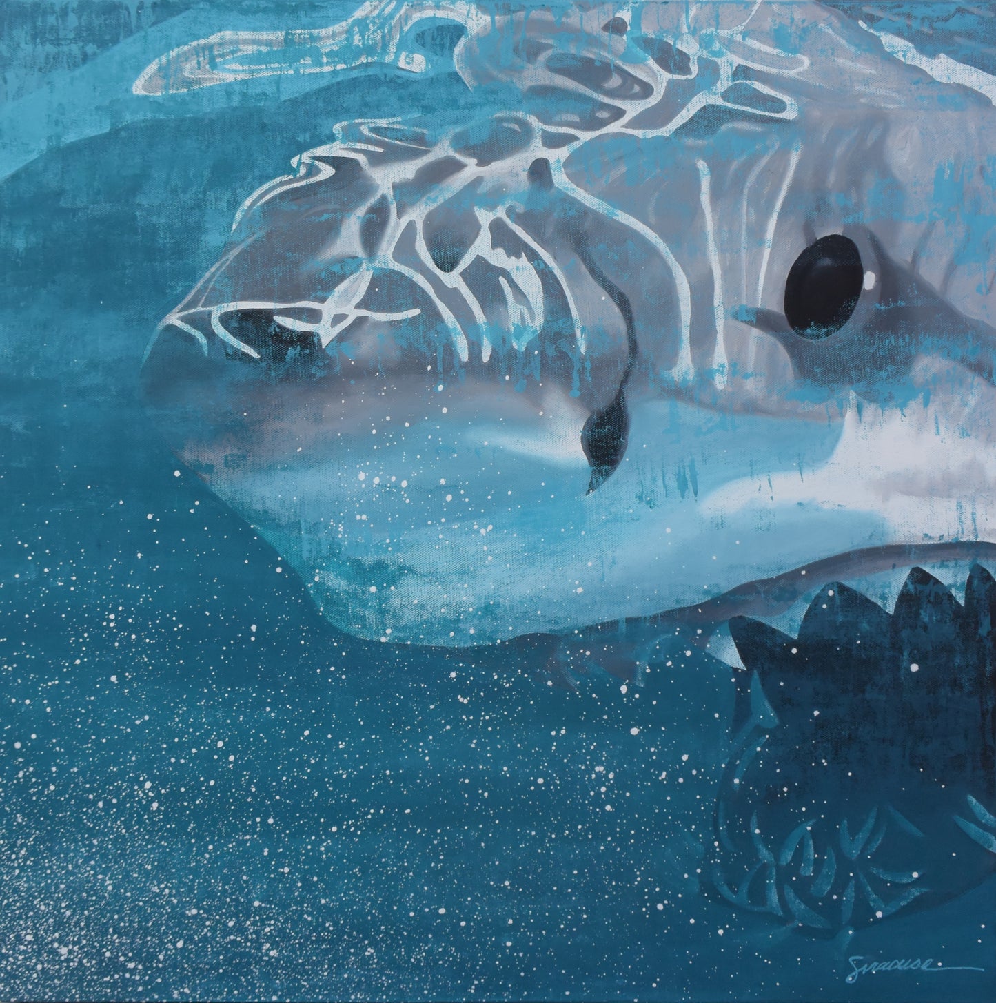 Vitamin SEA, Mako Shark, Number 2, Original