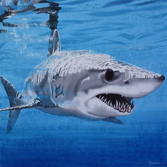 Vitamin SEA, Mako Shark, Number 1, Original