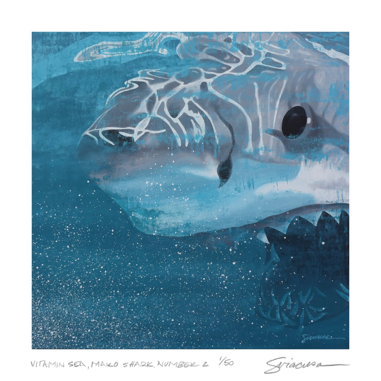 Vitamin SEA, Mako Shark, Number 2, Limited Edition Print