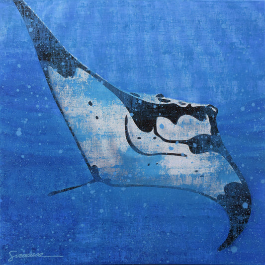 Vitamin Sea, Manta Ray, Number 3, Original
