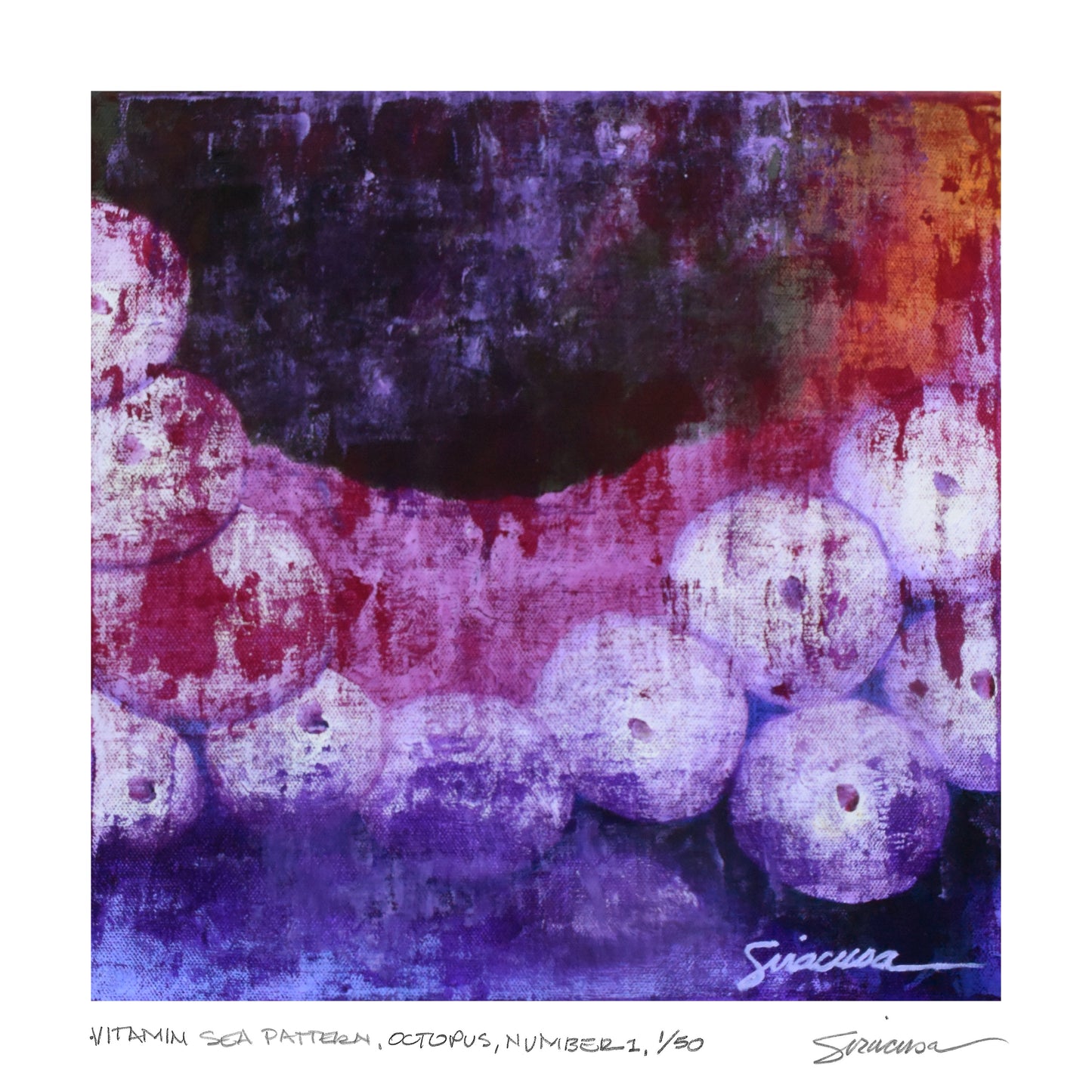 Vitamin SEA Pattern, Octopus, Number 1, Limited Edition Print, 12" x 12"