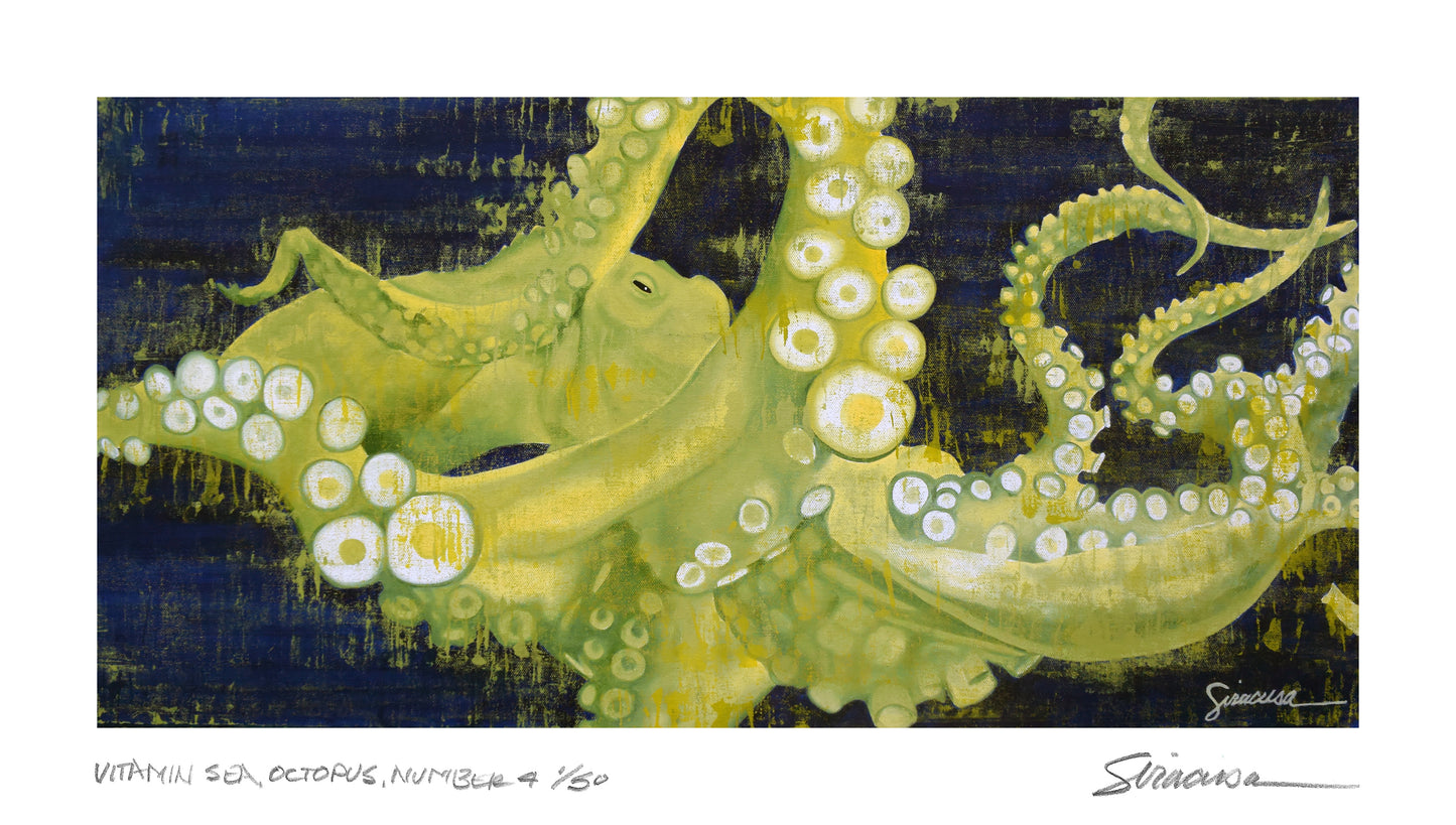 Vitamin SEA, Octopus, Number 4, Limited Edition Print, 15" x 8.5"