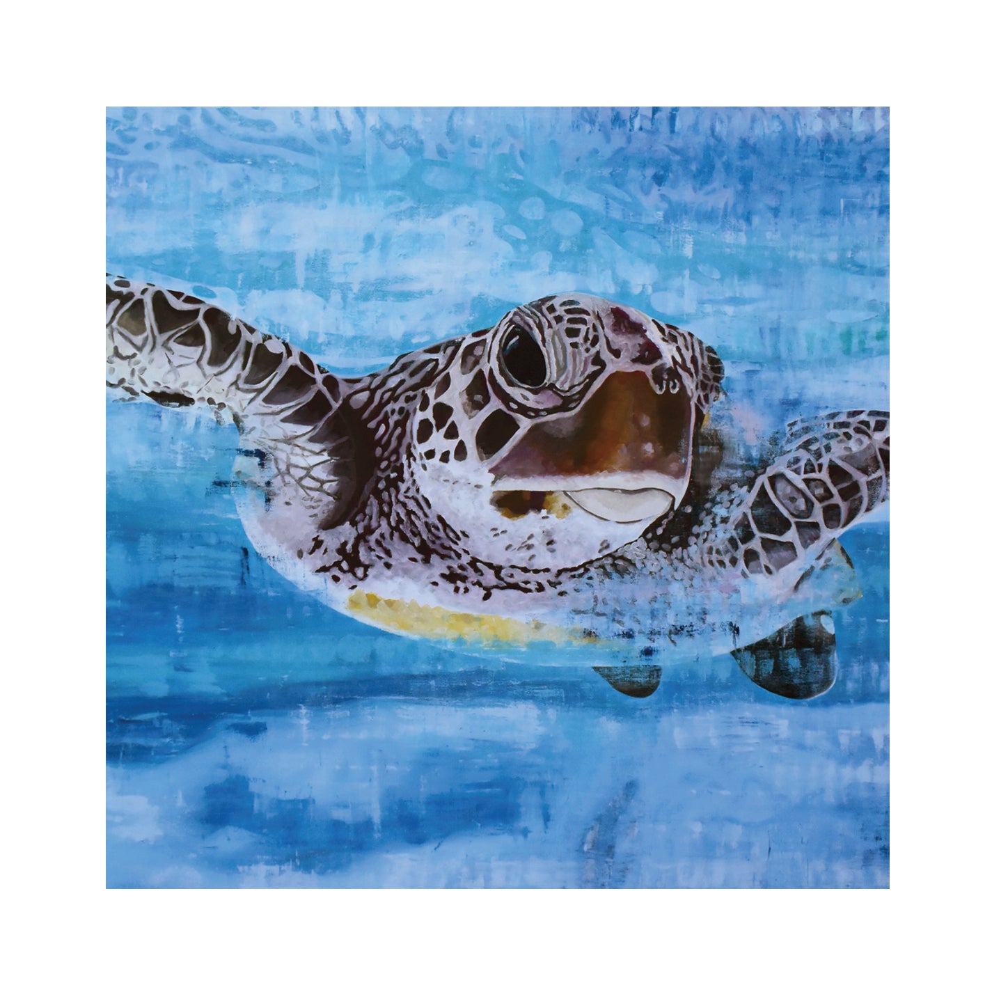 Vitamin SEA Greeting Cards, Group 1