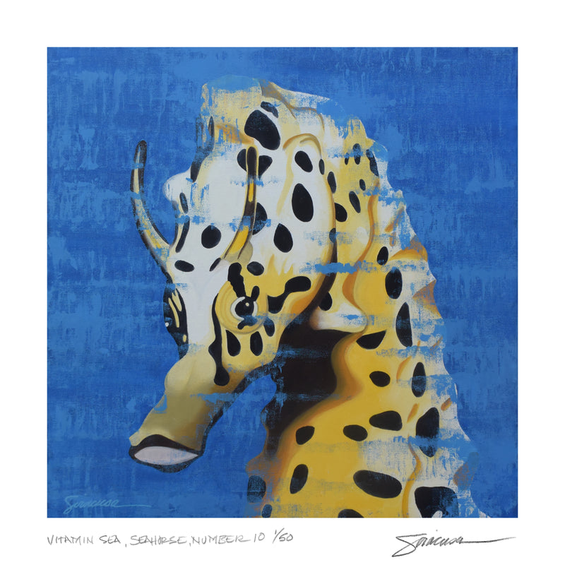Vitamin SEA, Seahorse, Number 10, Limited Edition Print