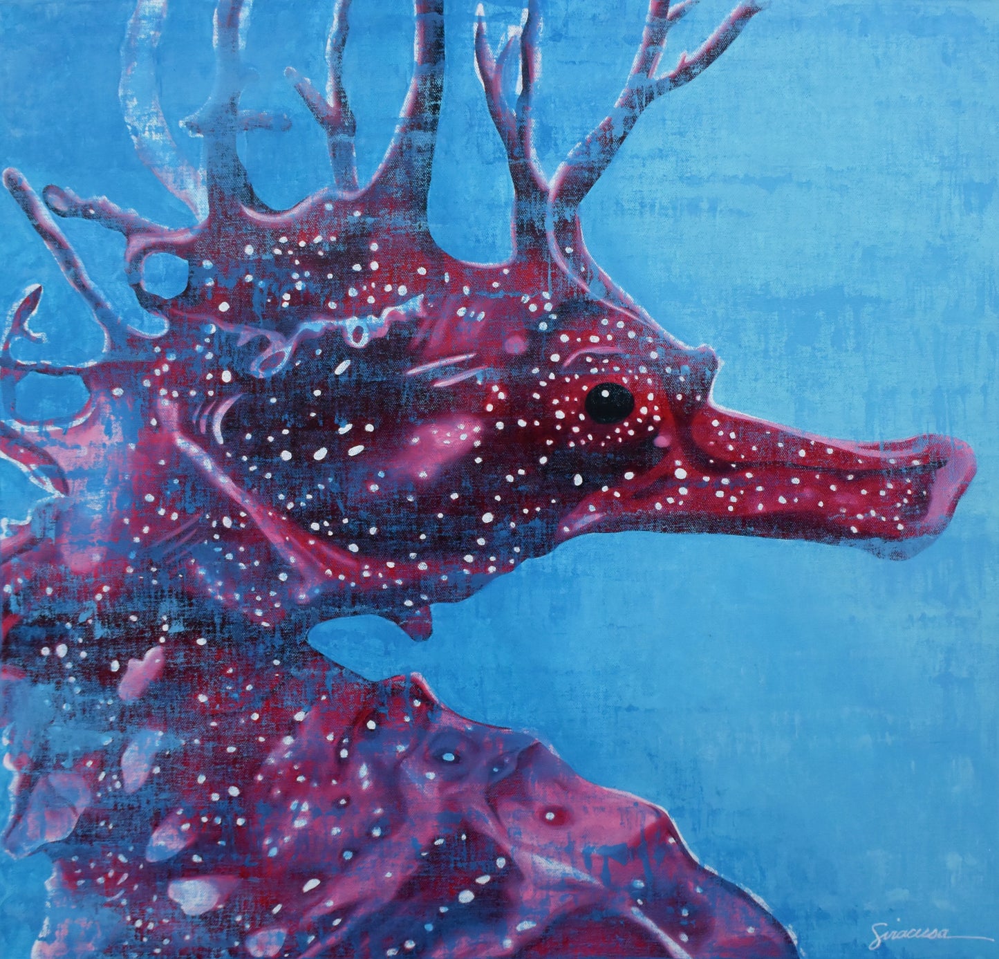 Vitamin SEA, Seahorse, Number 7, Original