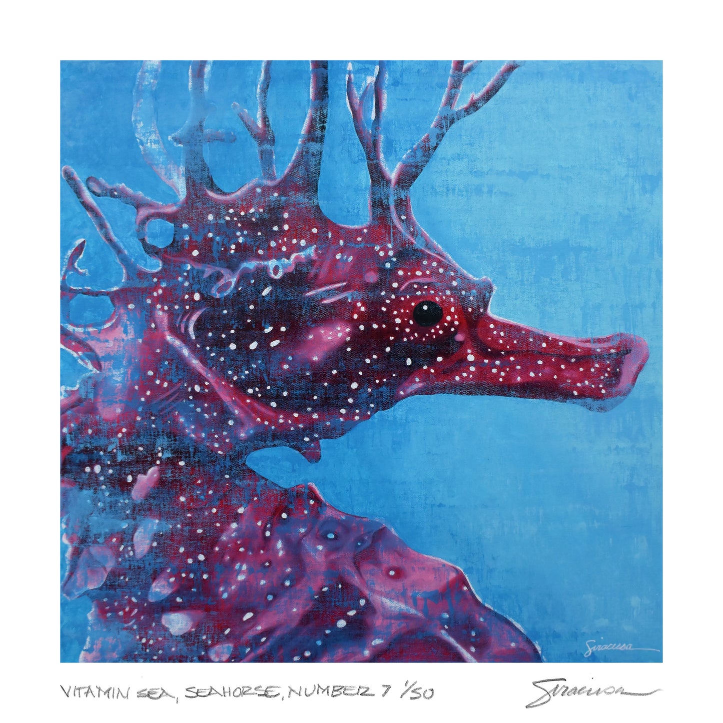 Vitamin SEA, Seahorse, Number 7, Limited Edition Print, 12" x 12"