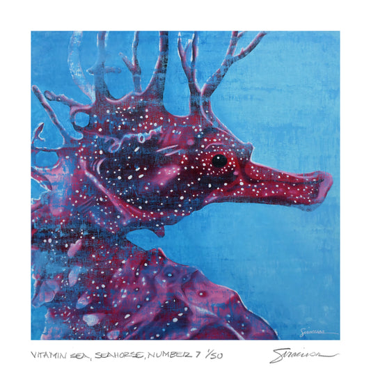 Vitamin SEA, Seahorse, Number 7, Limited Edition Print