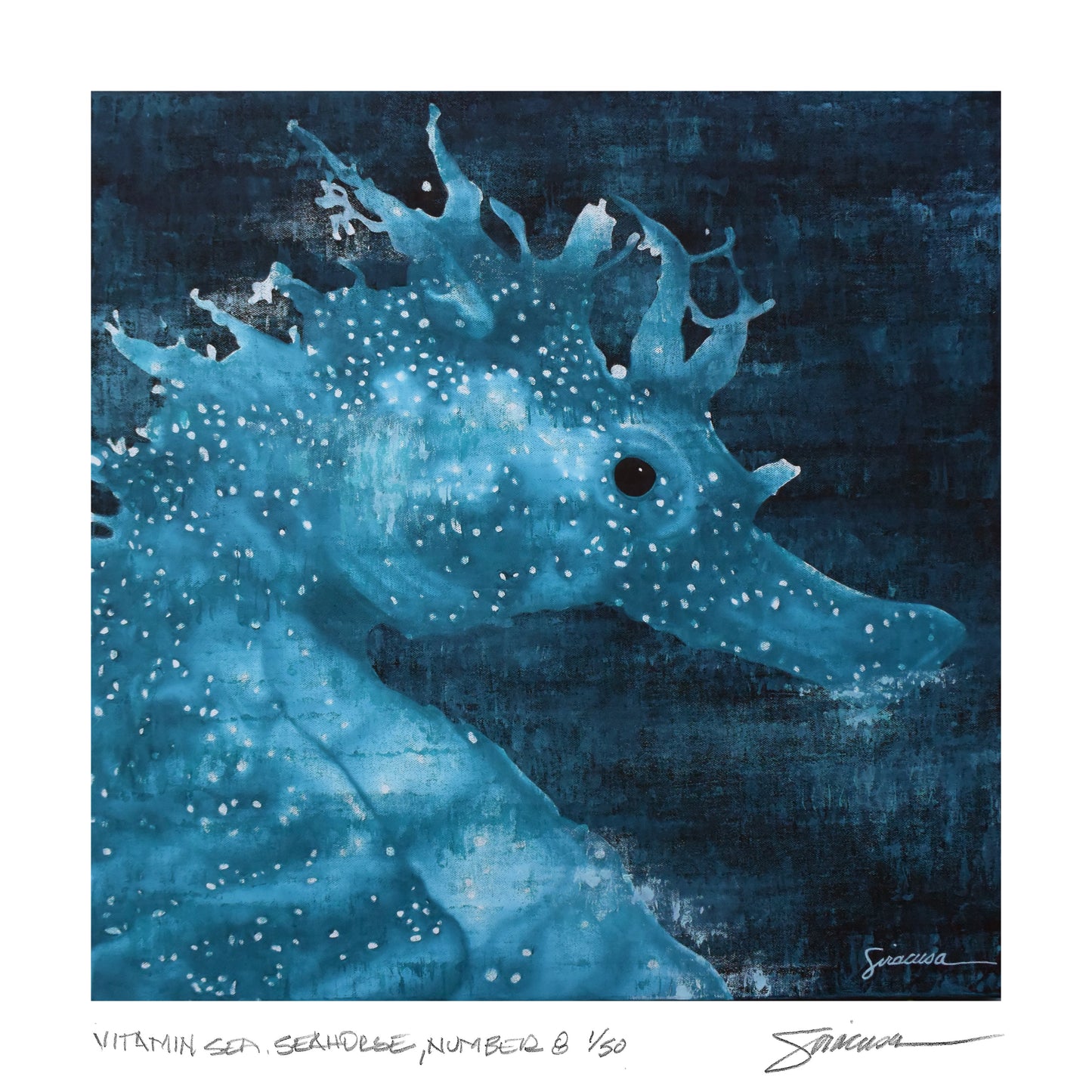 Vitamin SEA, Seahorse, Number 8, Limited Edition Print, 12" x 12"