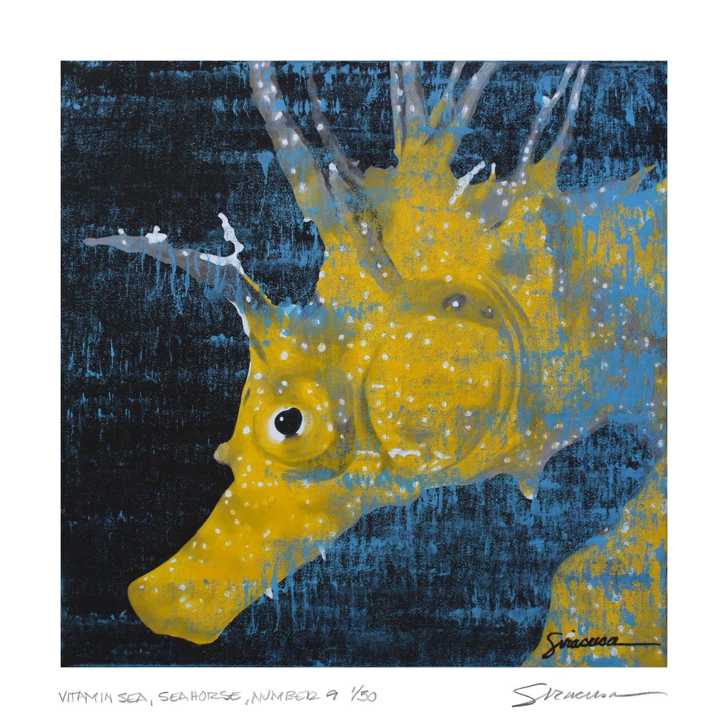 Vitamin SEA, Seahorse, Number 9, Limited Edition Print