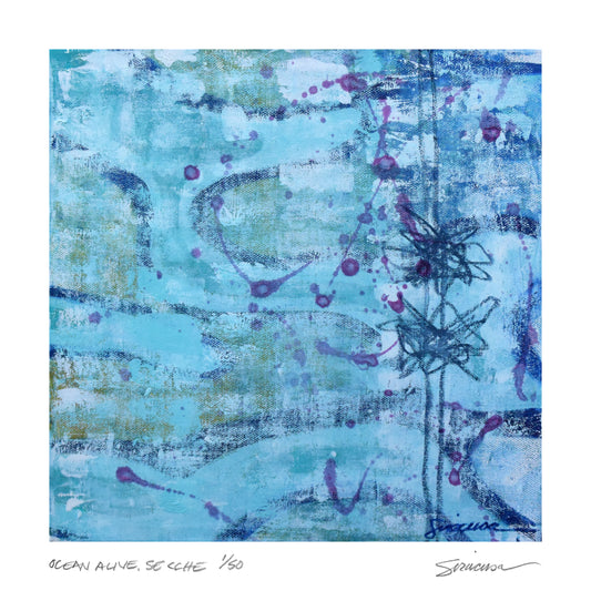 Ocean Alive, Secche, Limited Edition Print