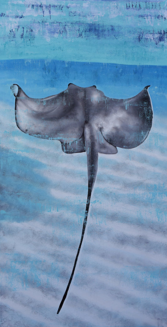 Vitamin SEA, Southern Stingray, Number 1, Original